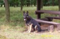 /album/breznice-panelka-05-06-2011/a100-1882-jpg2/