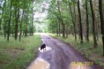 /album/breznice-panelka-05-06-2011/a100-1891-jpg1/