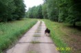 /album/breznice-panelka-05-06-2011/a100-1892-jpg1/